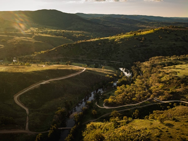 a verdant landscape at Bathurst Bridle Track