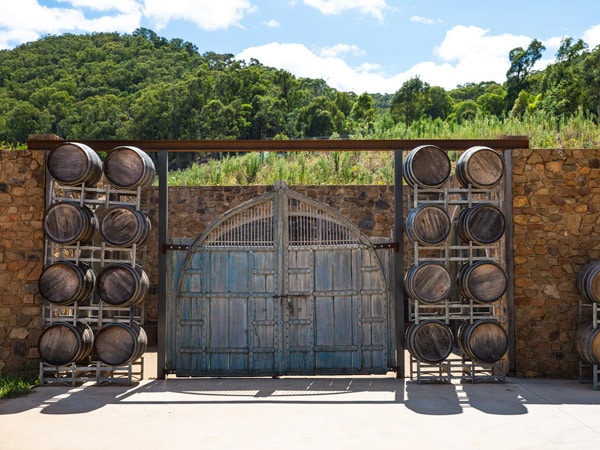 gerbang ruang bawah tanah dengan tong anggur kosong di Feathertop Winery