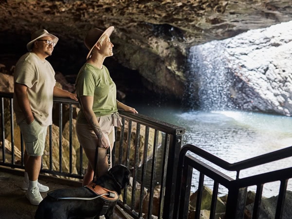 guests exploring Natural Bridge Circuit, Gold Coast