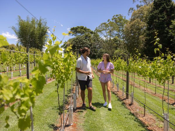 a couple touring around Witches Falls Winery, Gold Coast suburbs