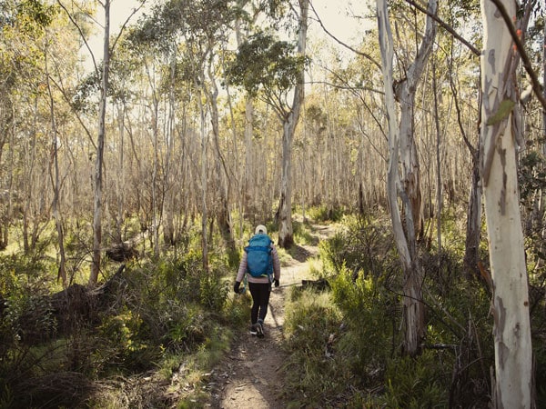 a woman walking in the woods at Namadgi National Park, Canberra