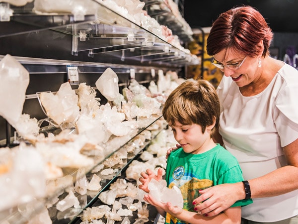 a mother and son looking at the fossil displays inside National Dinosaur Museum