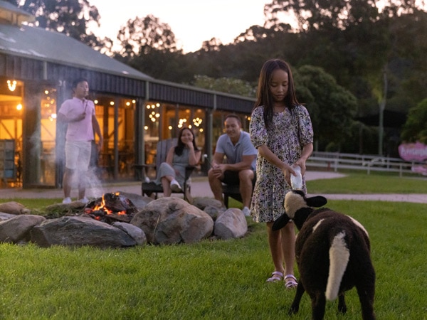 a little girl feeding a goat with her parents sitting in front of a bonfire behind her