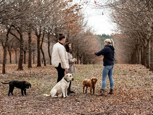 TrailGraze in Tasmania