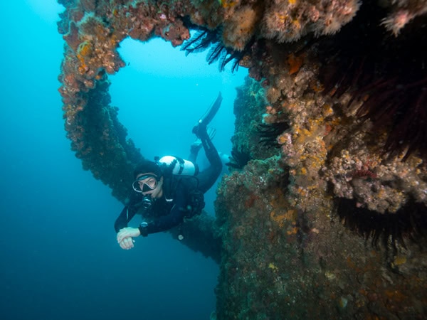 diving at Wonder Reef, Gold Coast