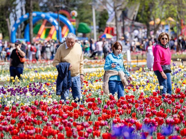 people wandering around the tulip gardens at the annual Floriade in Canberra