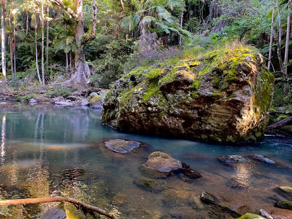Coopers Creek in the Northern Rivers region of NSW