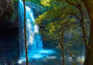 Killen Falls near Byron Bay, NSW