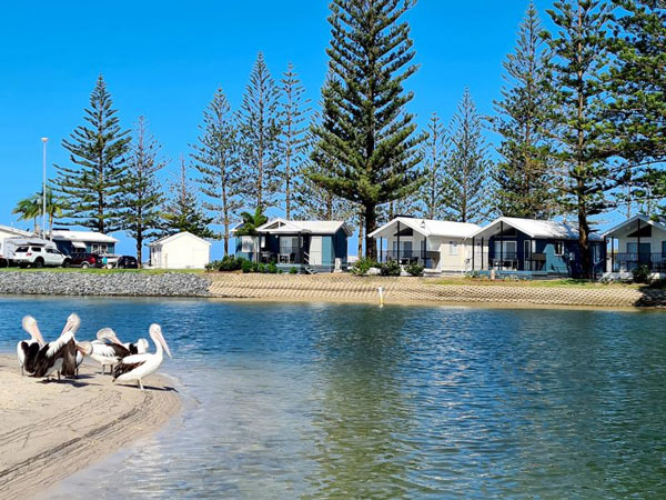 waterfront cabins facing the creek at Broadwater Tourist Park
