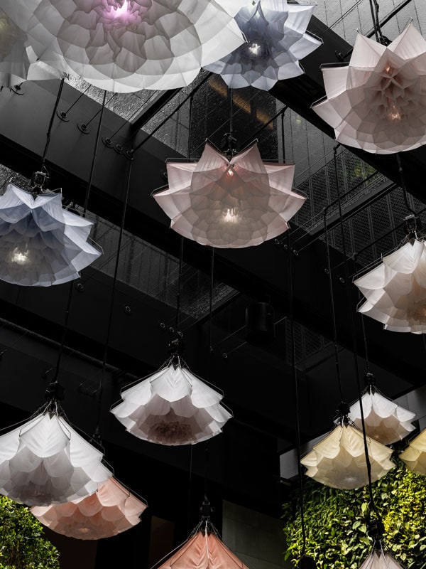 Capella Sydney Aperture Lounge