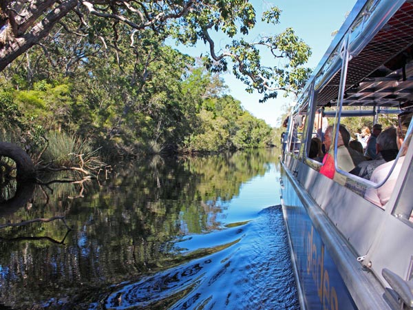 guests during Everglades Eco Safaris, Noosa