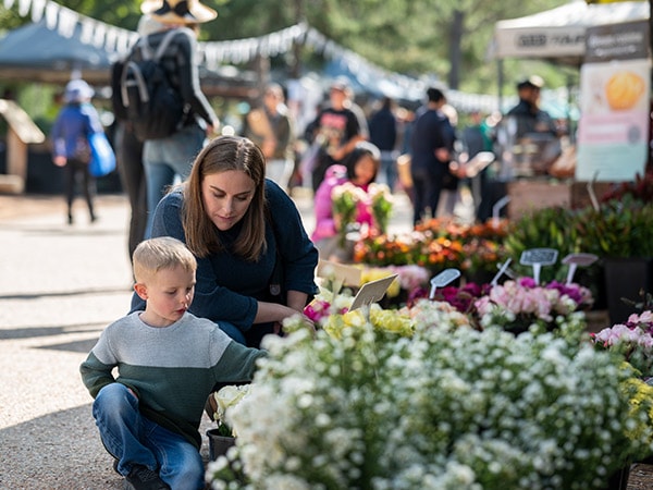 Haig Park Village Market