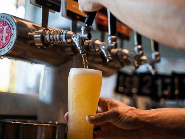 a bartender filling a glass of beer on tap at Heads of Noosa Brewing Co.