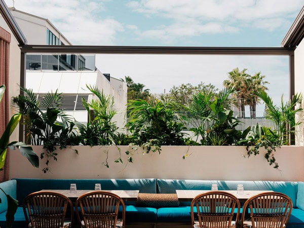 the rooftop bar at Lulu, Surfers Paradise