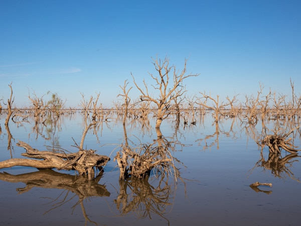 Menindee Lakes, NSW