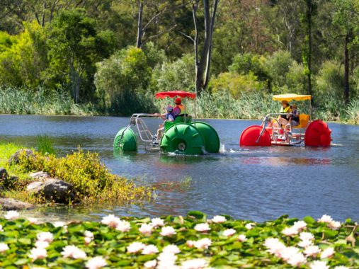 Top 10 Caravan Parks on the Gold Coast - Australian Traveller