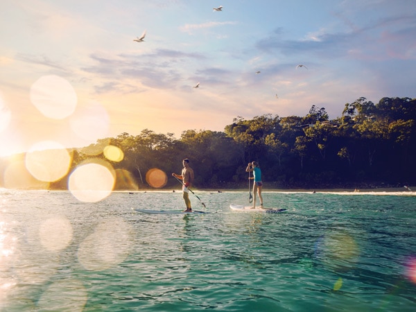 Stand up paddleboarding at Tea Tree Bay
