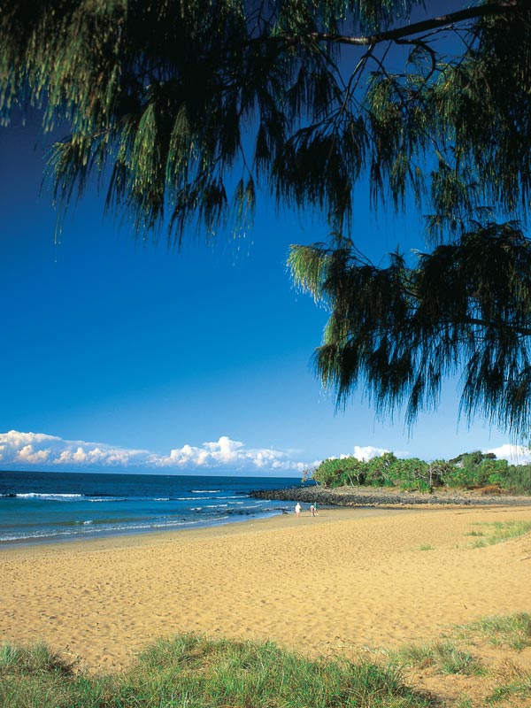 beach at Mon Repos