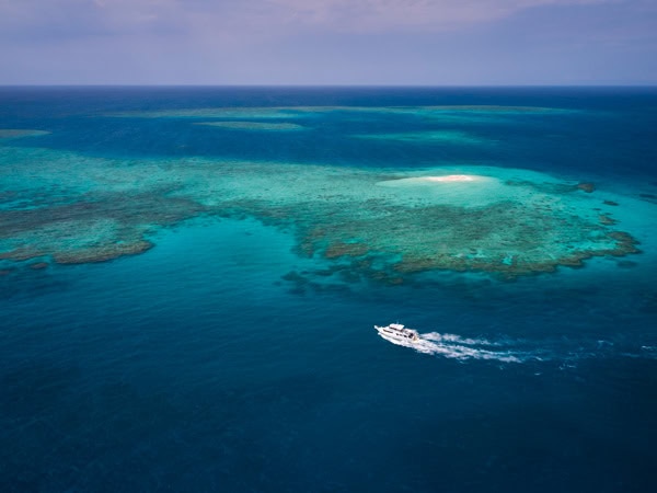 Great Barrier Reef, QLD