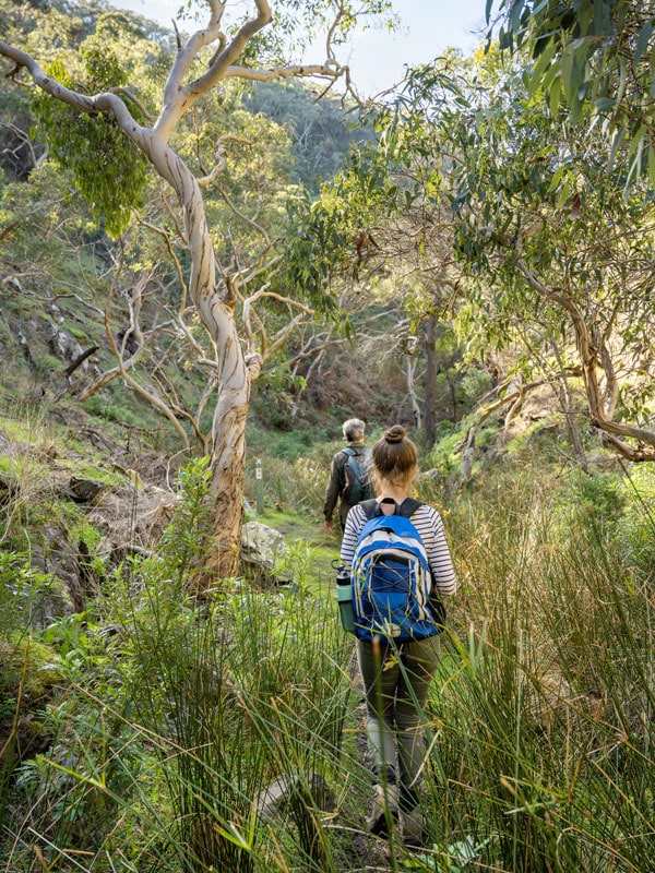 Wild South Coast Way in Deep Creek National Park, South Australia