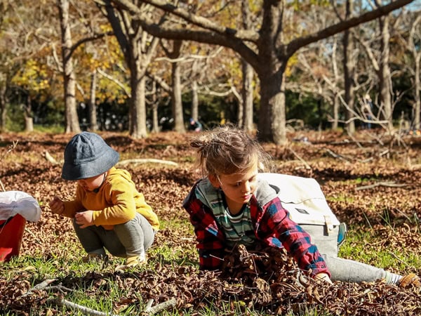Central Coast Harvest Festival, NSW