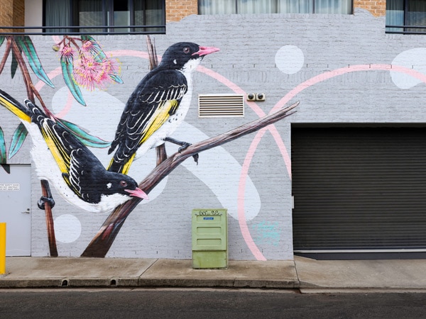 the Perth street art scene at Banna Lane 2022