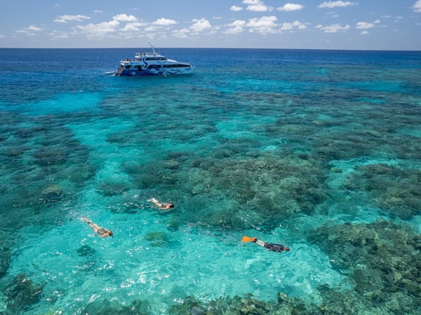 Snorkellers with Divers Den - AquaQuest in Cairns