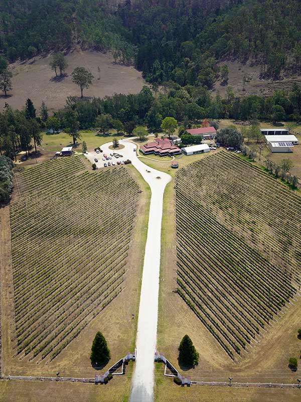 the fertile vineyards at Canungra Valley