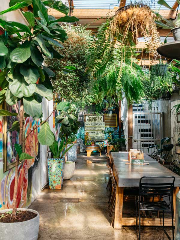 Garden interior of Eumundi Brewery in Noosa