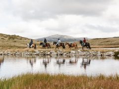 Mount Beauty Bogong Horseback