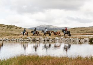 Mount Beauty Bogong Horseback