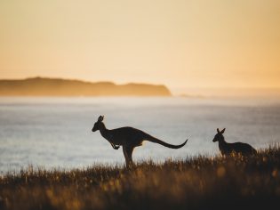 The top 9 emerging sustainable experiences in Australia