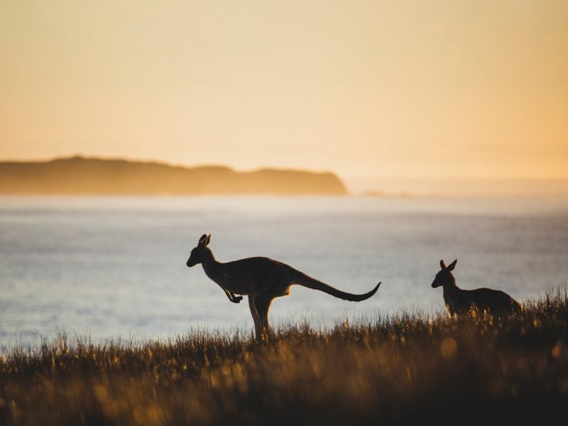 The top 9 emerging sustainable experiences in Australia