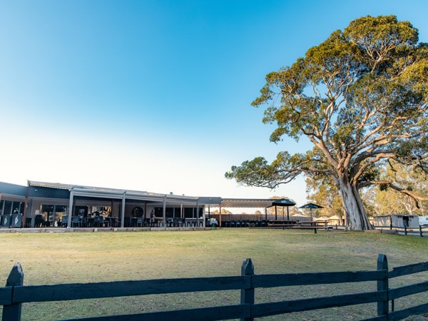 an expansive greenery outside Habitat Noosa