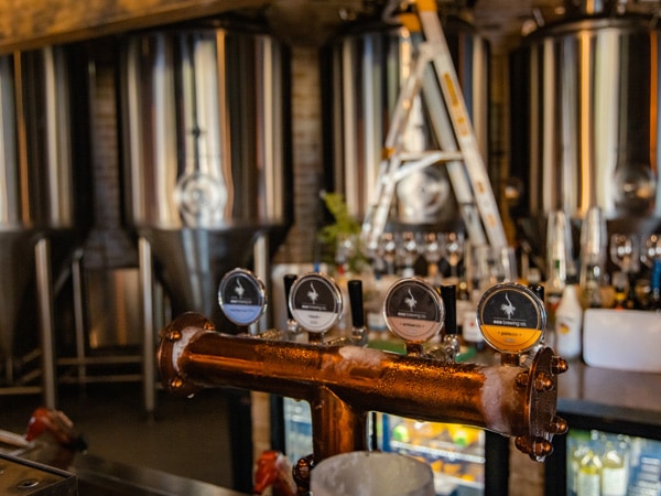 a tap beer counter at Habitat Noosa