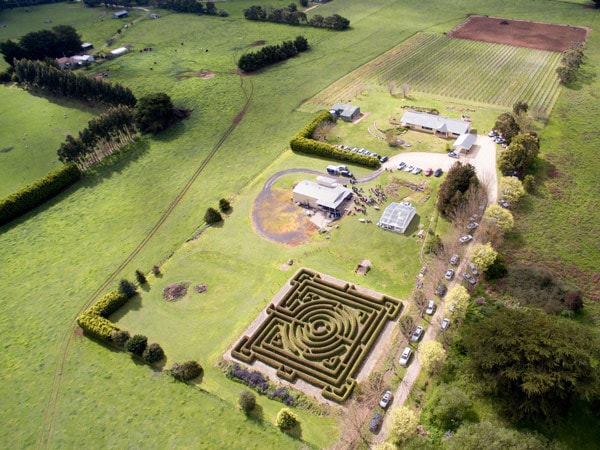 an aerial shot of Herbert Vineyard