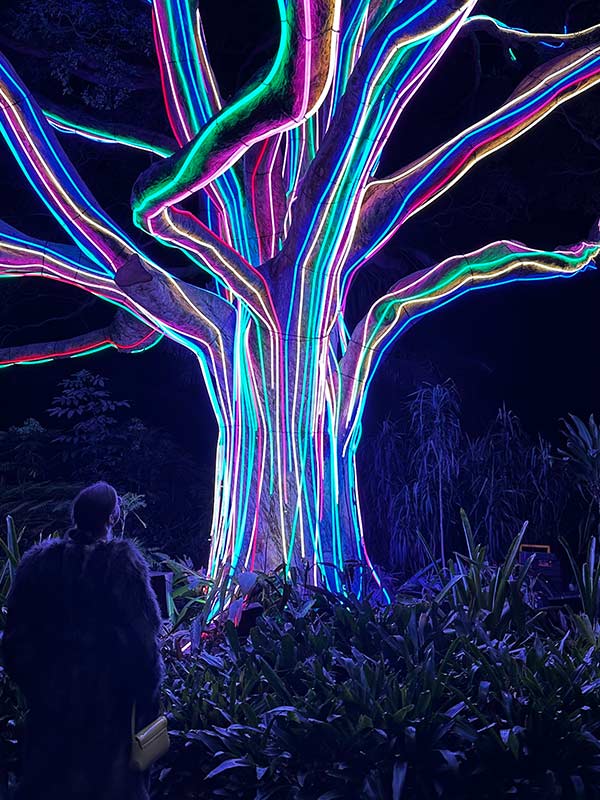 Lightscape, Vivid Sydney