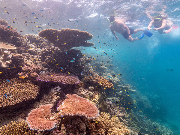 Mission Beach Dive