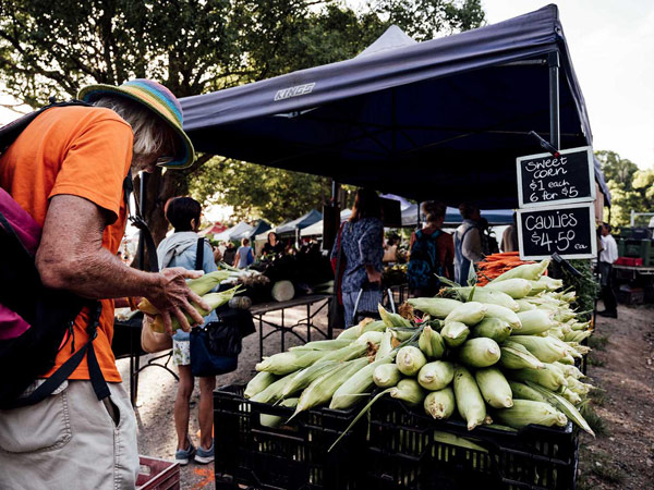 a corn stand at Mullumbimby Farmers Market