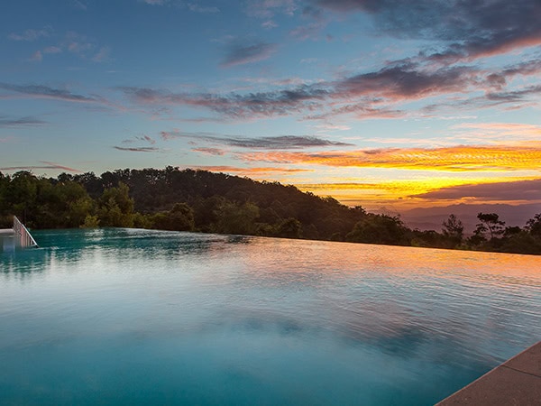 O'Reileys Rainforest Retreat Pool