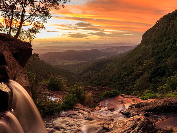 O'Reileys Rainforest Retreat View of Lamington National Park