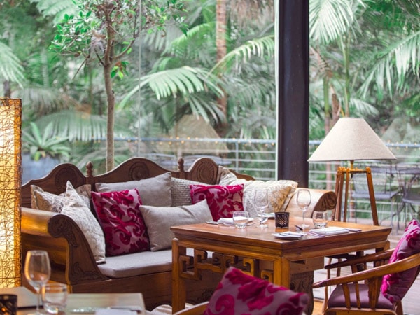 a vintage couch with glass panels reflecting lush greenery in the background at Pethers Rainforest Retreat