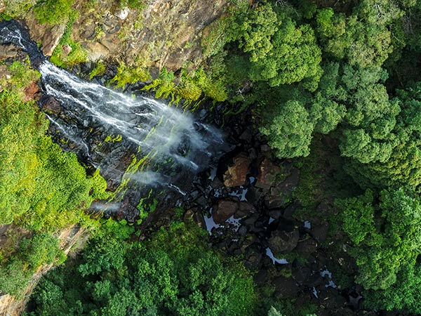 aerial view of Purling Brook Falls