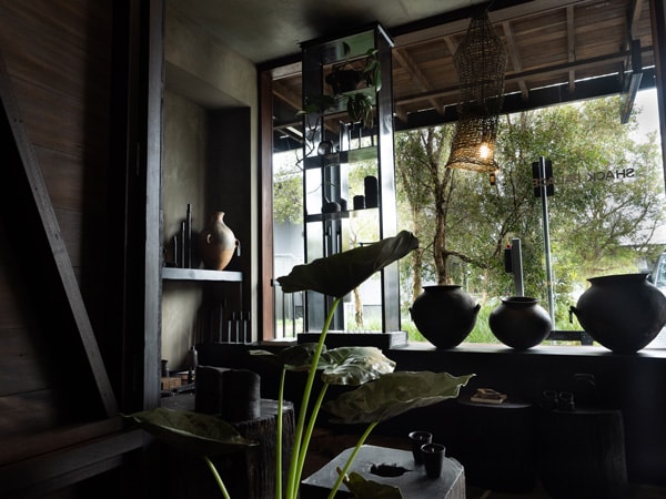 pots displayed at Shack Palace, Byron Bay