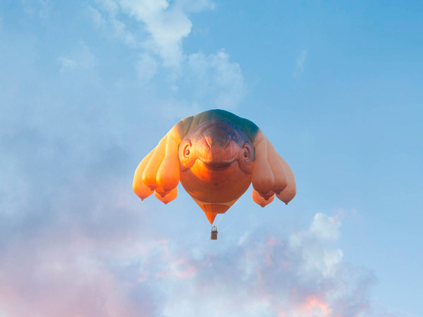 Skywhales by Patricia Piccinnini 