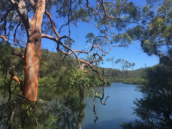 the hiking trail from Sphinx Memorial to Bobbin Head, Ku-ring-gai Chase National Park