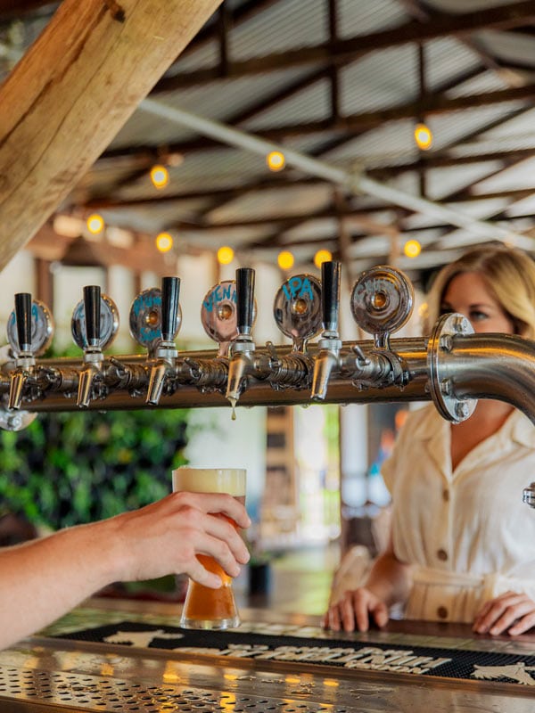 Woman buying beer on tap from Noosa Hinterland Brewing Co