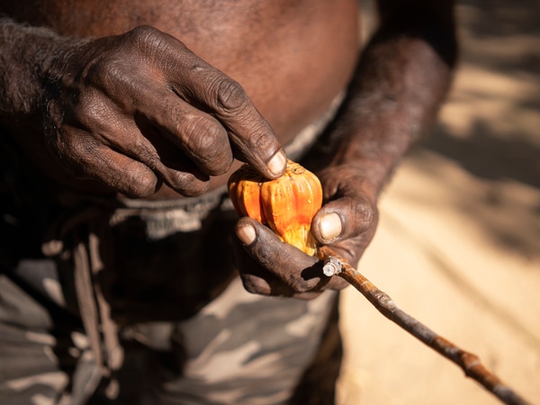Tarntipi Bush Camp on the Tiwi Islands, NT