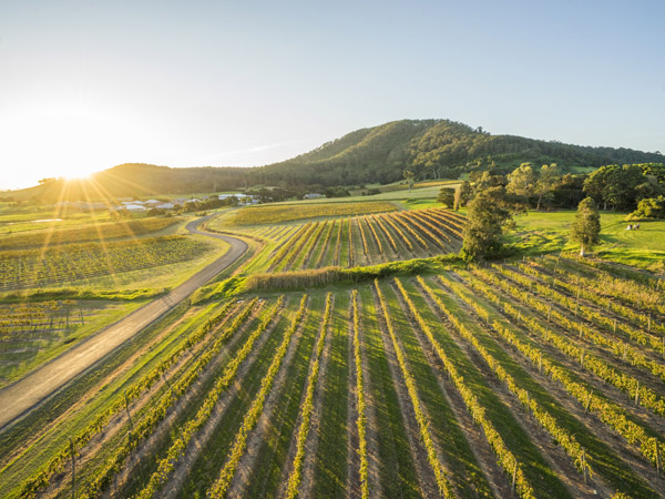 sun setting over Coolangatta Estate, Shoalhaven Heads