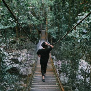 a woman enjoying the scenic walk by the Minnamurra Rainforest Centre in Budderoo National Park